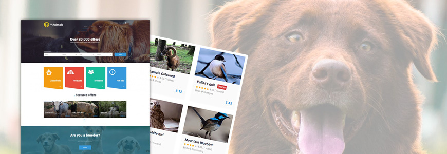 Classifieds ads animals website template for Joomla